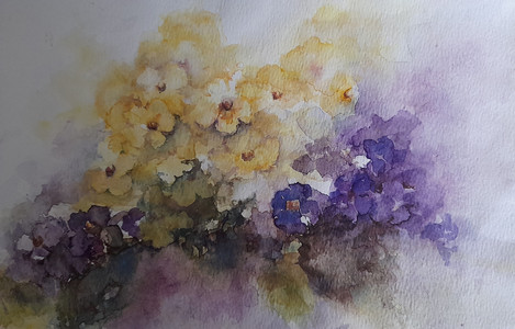 Chrissy F, Primroses & Voilets, watercolour.jpg